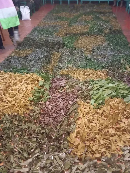 qkyiVriO7147_RHtys8ApmIw8I3656VP4JP2PBBOHb2FlA-NQSeiV3MeYsTATsl-4MaLYuOrRcnvgyGf-ygjxFmm